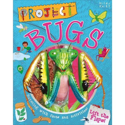 Project Bugs